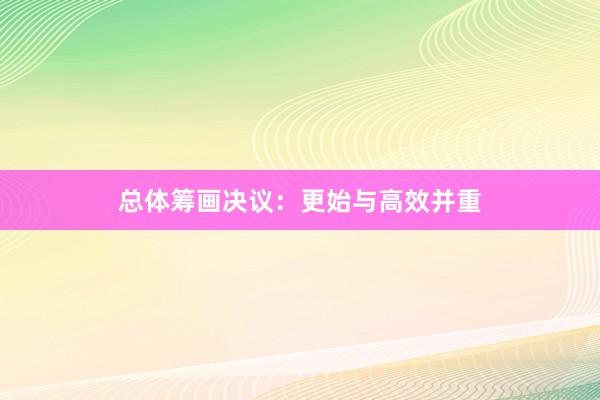 总体筹画决议：更始与高效并重