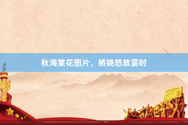秋海棠花图片，娇娆怒放霎时