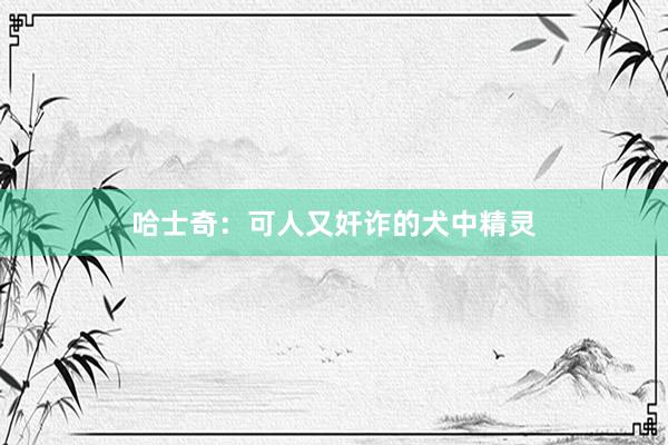 哈士奇：可人又奸诈的犬中精灵