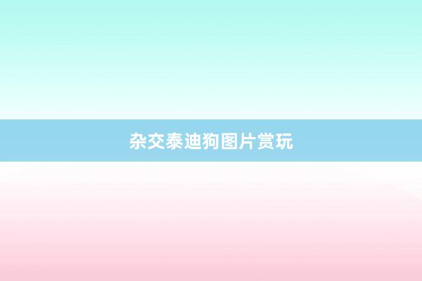 杂交泰迪狗图片赏玩