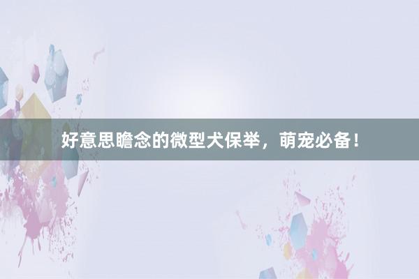 好意思瞻念的微型犬保举，萌宠必备！