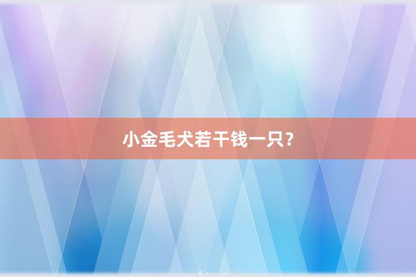 小金毛犬若干钱一只？